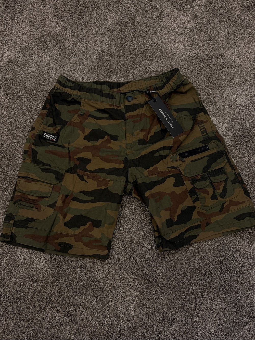 SUPPLY DEMAND camo cargo shorts